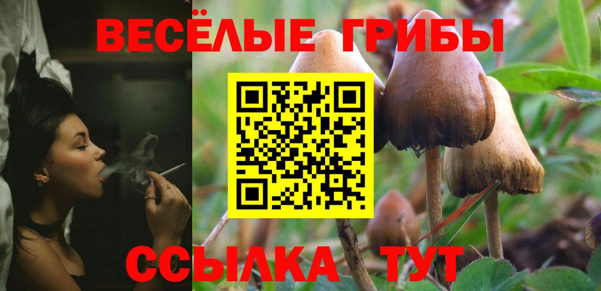 Псилоцибиновые грибы GOLDEN TEACHER Белгород